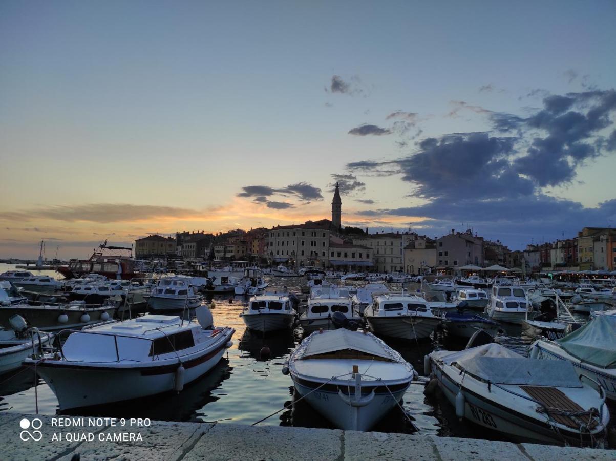 Mobile Home Lidano, Kamp Porton Biondi Rovinj Ngoại thất bức ảnh